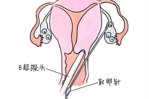 http://jinan.huochezhan.net/post/205.html|济南供卵助孕