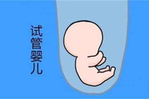 培养济南捐卵宝宝艺术细胞的小技巧