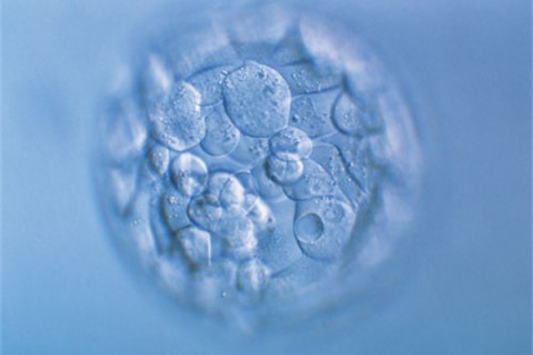 http://jinan.huochezhan.net/post/200.html|济南新闻中心